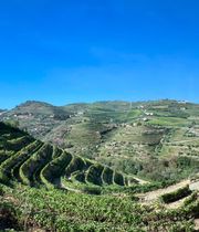 Scenery of guided tour