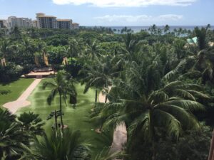 Aulani scenery