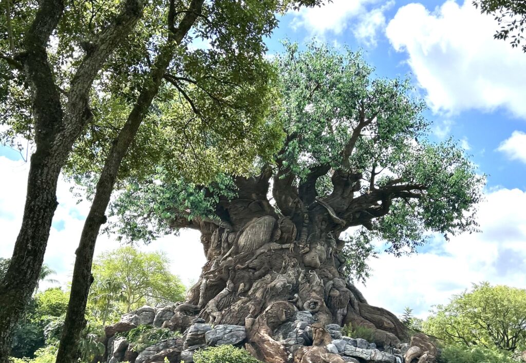 Tree of life at animal kingdom