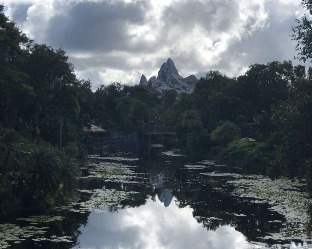 Kilimanjaro safari at animal kingdom 